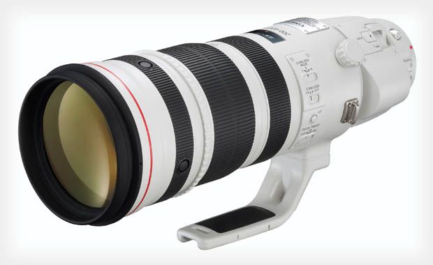 Canon EF 200-400 f/4L IS + EXT 1.4x