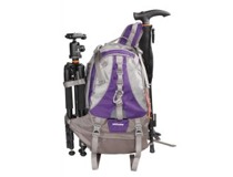 Vanguard KINRAY 43PR