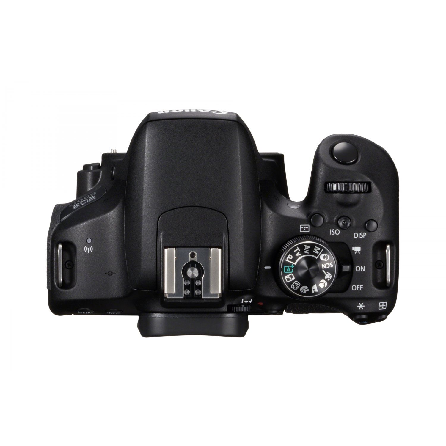 Canon EOS 800D + 18-200 mm 