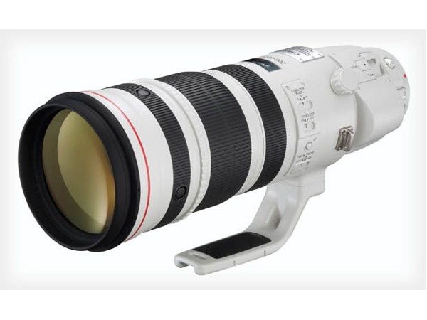 Canon EF 200-400 f/4L IS + EXT 1.4x